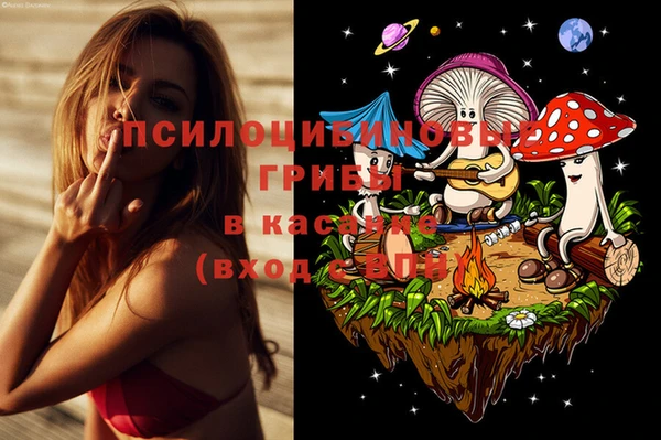 МДПВ Алексин