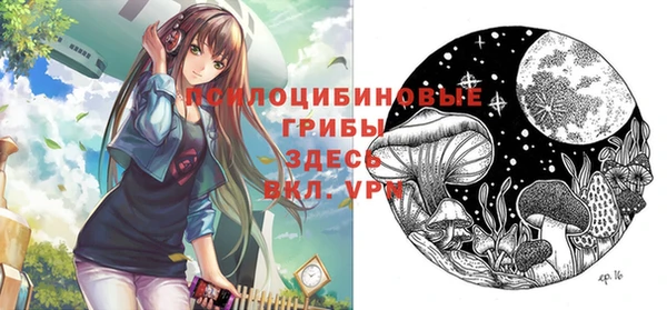 МДПВ Алексин