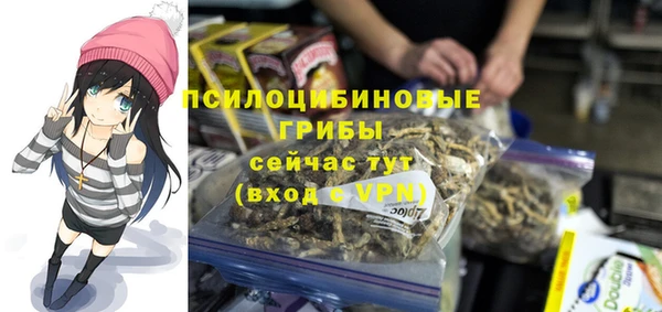 амфетамин Алексеевка