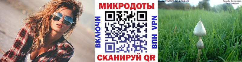 Галлюциногенные грибы прущие грибы  Сосновый Бор 