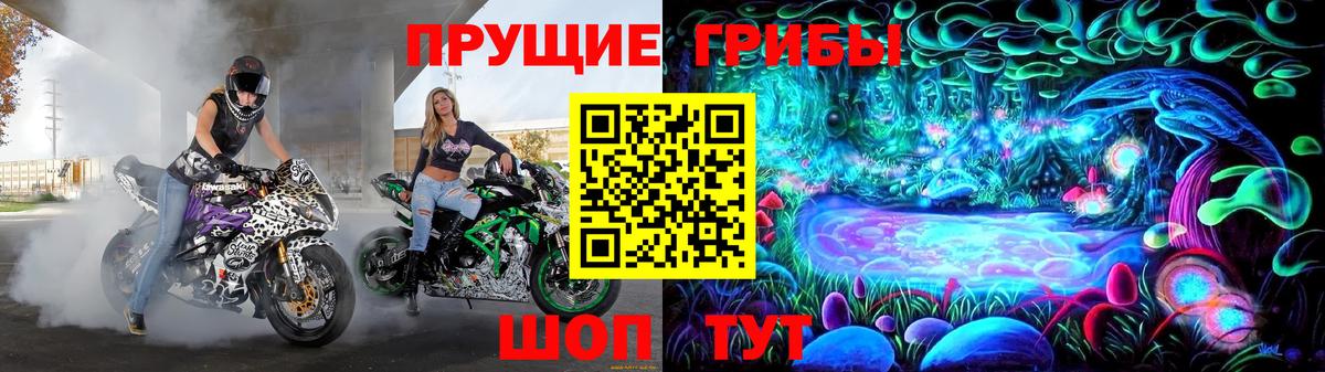 Псилоцибиновые грибы Magic Shrooms Сосновый Бор